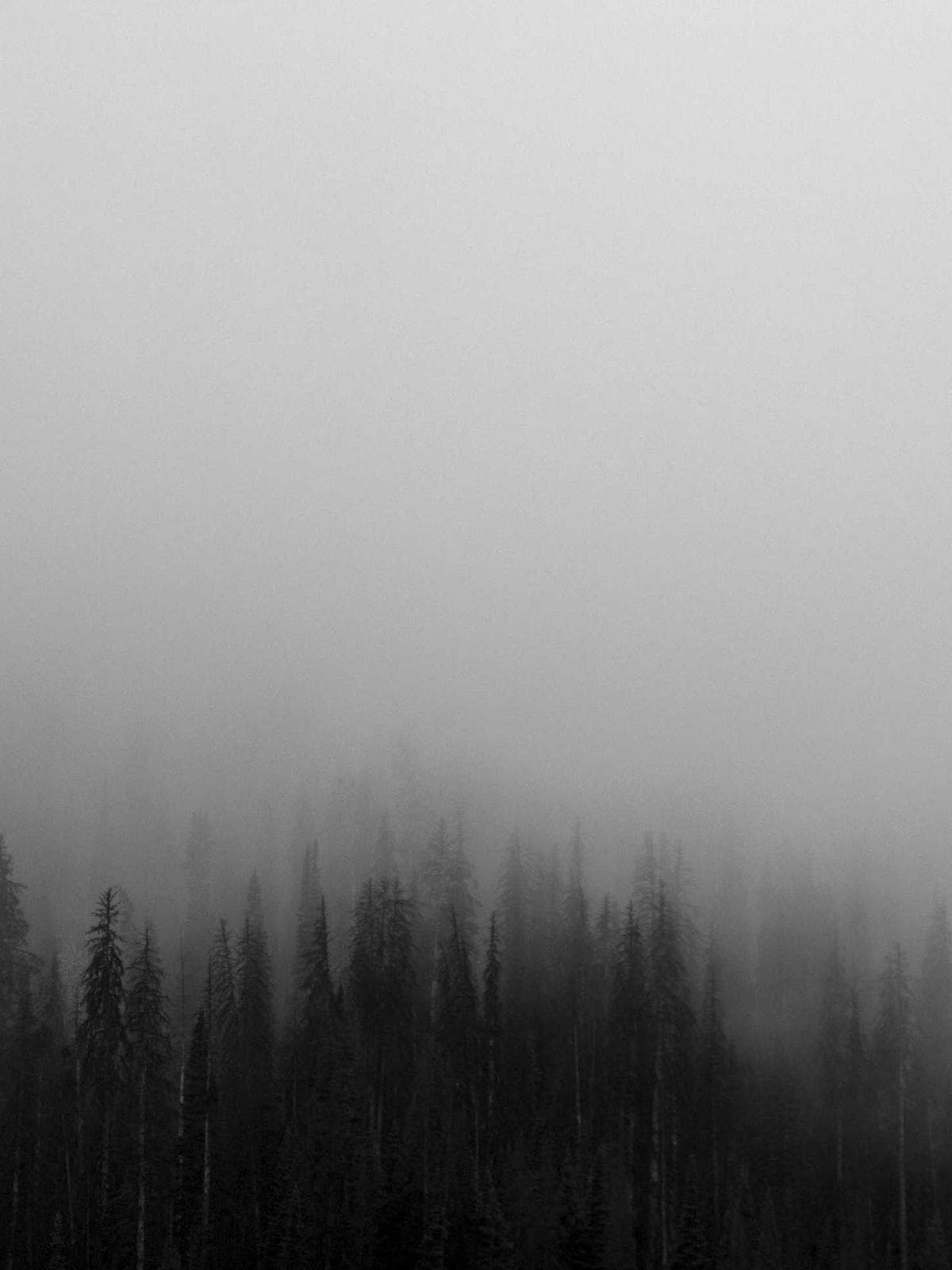 Luxury Dome Interior